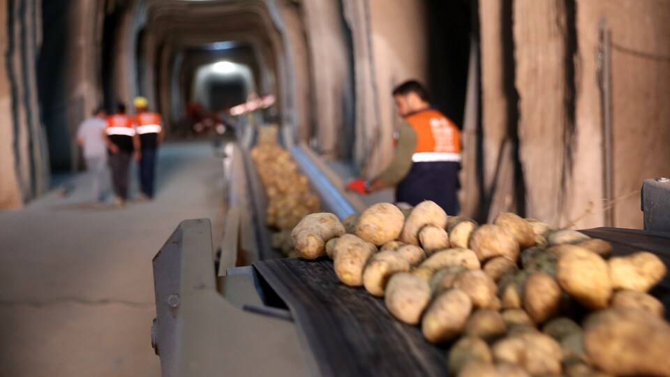 Üçte bir fiyatına indi