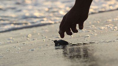 Binlercesi denizle buluştu