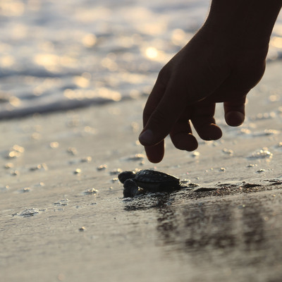 Binlercesi denizle buluştu