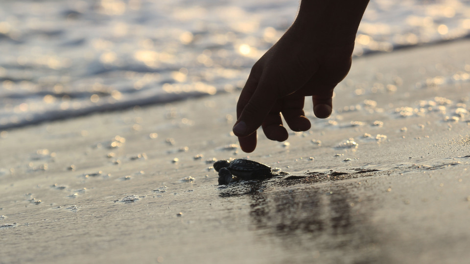 Binlercesi denizle buluştu