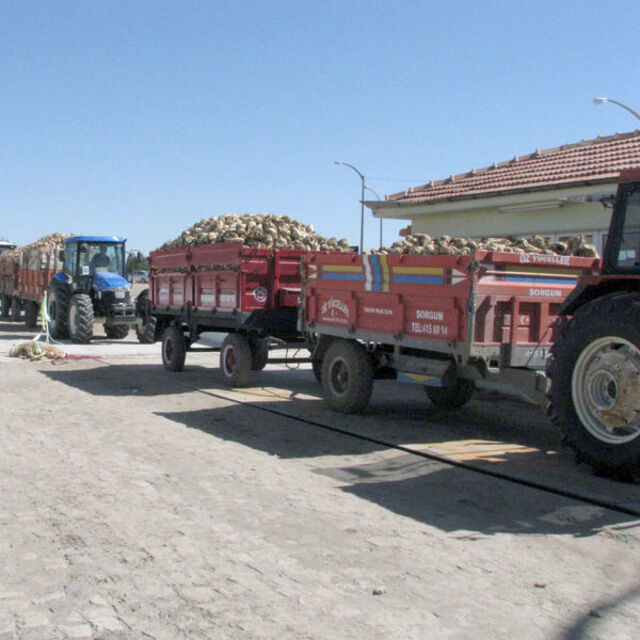 Yozgat Şeker Fabrikası'nda pancar alımları başladı