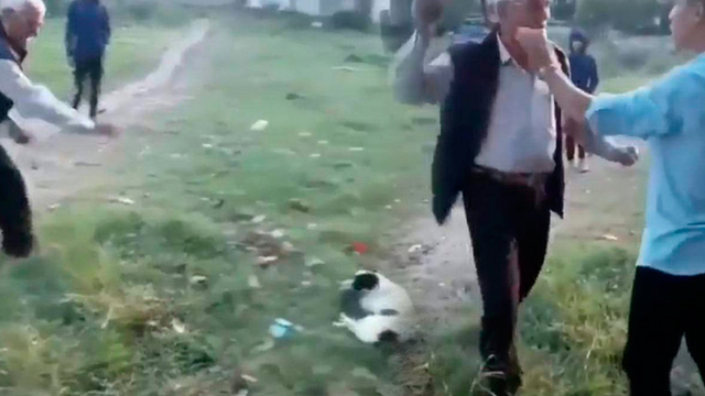 Ne yapıyorsun dayı!