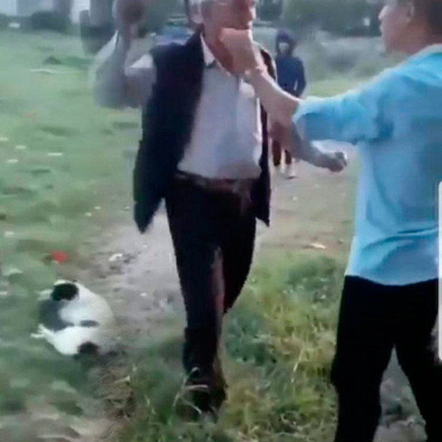 Ne yapıyorsun dayı!