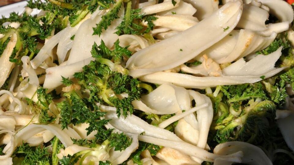 Şevketibostan nedir?