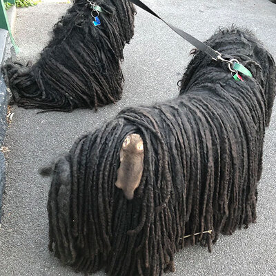 Saatler sonra fark edildi! İnanamadılar