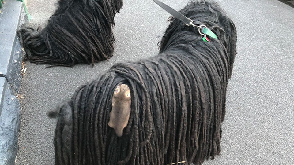 Saatler sonra fark edildi! İnanamadılar