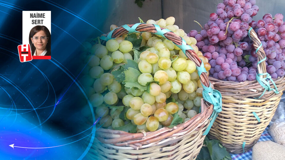 Üzüm şehri Kırklareli hardaliye ile gastronomi yarışında