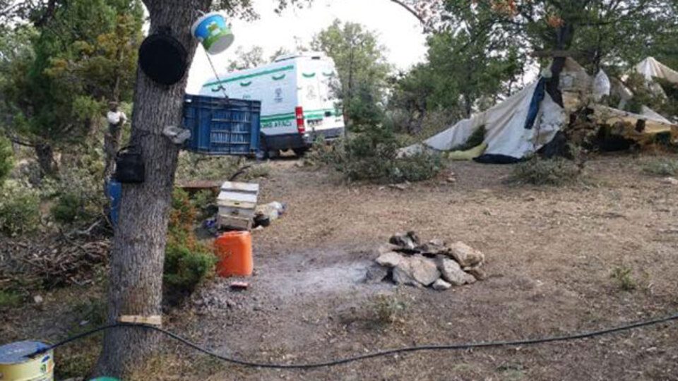 Çadırda ölü bulunmuştu! Cinayete kurban gittiği ortaya çıktı