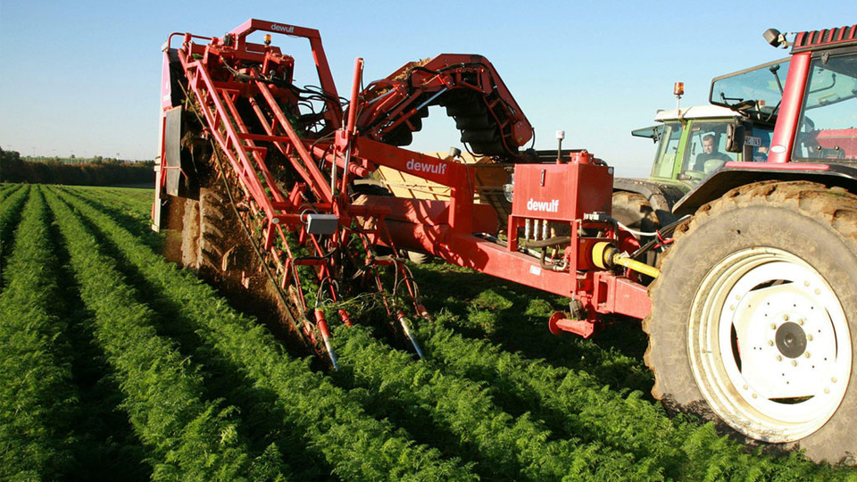 Ağustos ayı Tarım ÜFE açıklandı