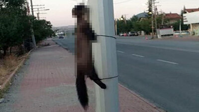 Geli̇nci̇ği̇ öldürüp di̇reğe astılar