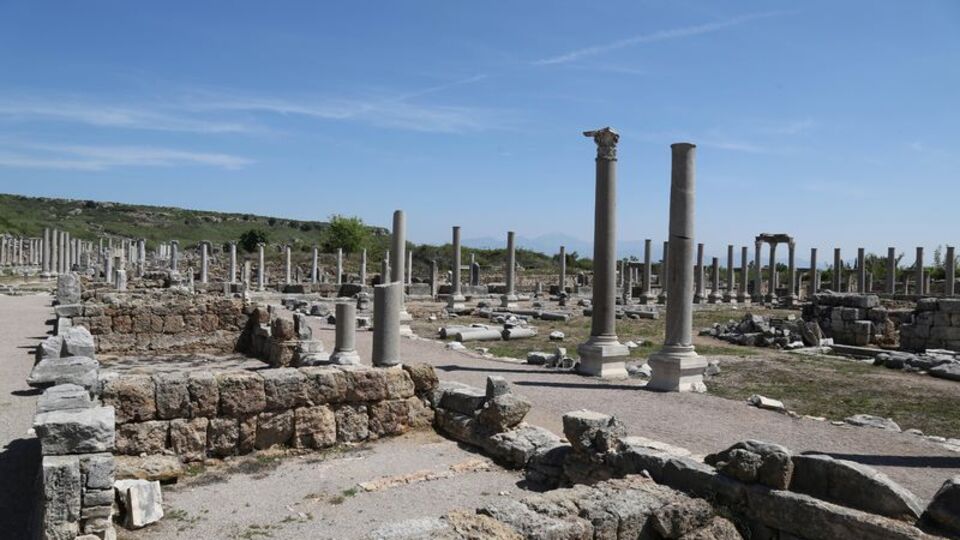 Görürseniz dokunmayın! Koruma altına alınacak