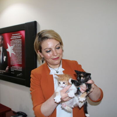 Görev yeri değişti, maaşı kesildi: 'Cezadan gurur duydum'