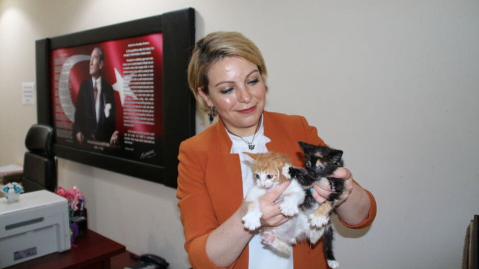 Görev yeri değişti, maaşı kesildi: 'Cezadan gurur duydum'