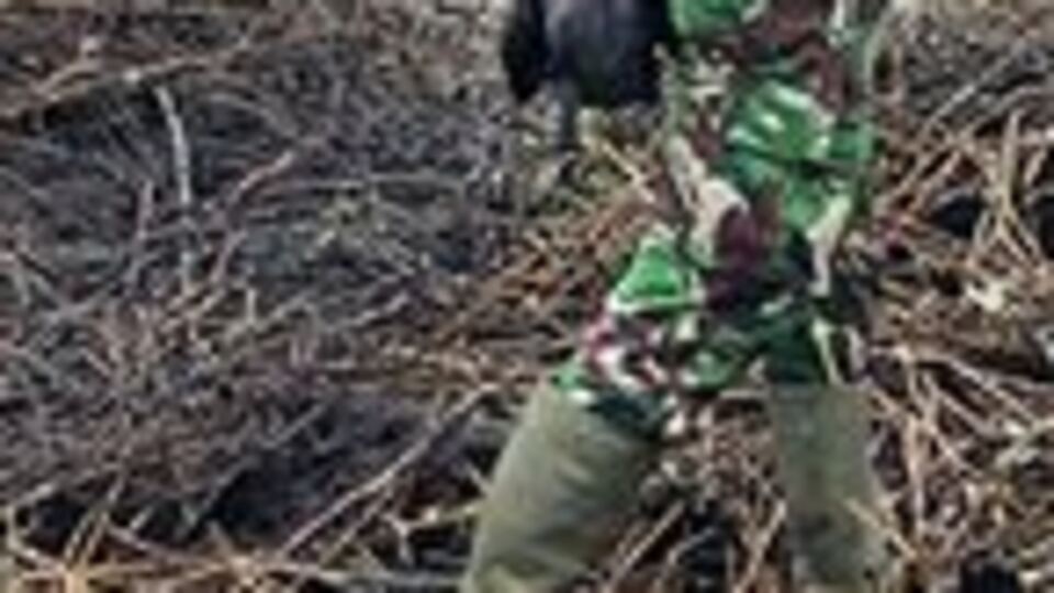 Endonezya'daki orman yangınlarına 185 gözaltı!