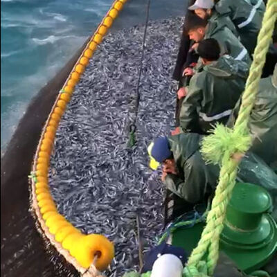 Gırgır teknesiyle tek seferde 30 ton! Bakakaldılar!