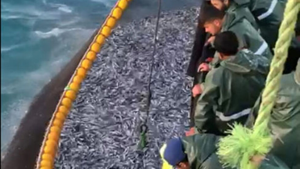 Gırgır teknesiyle tek seferde 30 ton! Bakakaldılar!