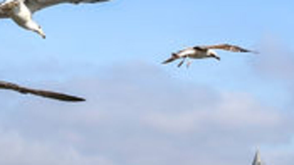 Sağanak öncesi güneşli hava!