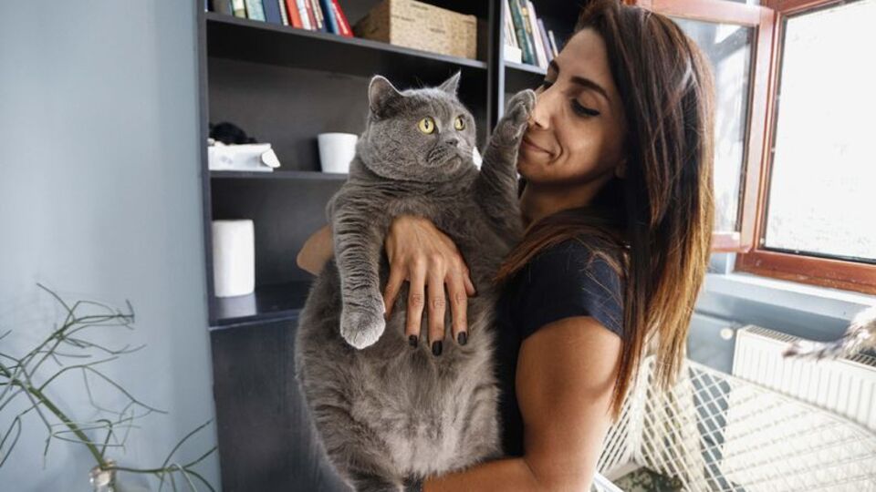 Obez kedi, egzersiz ile 4,5 kilo verdi