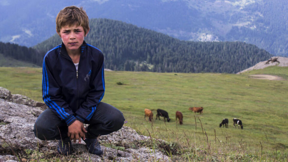 Eren Bülbül'ün annesinden HDP önünde eylem yapan annelere destek
