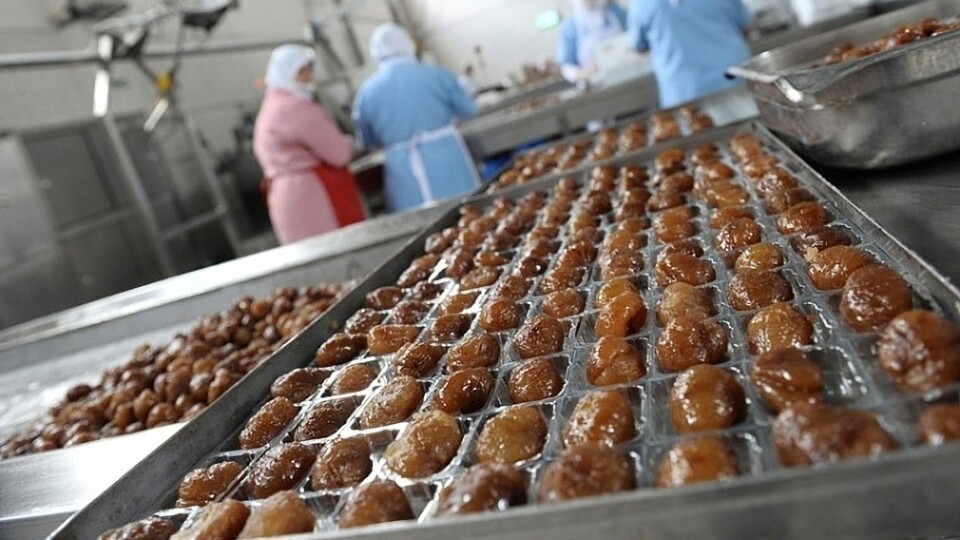 'Kestane şekeri' kurtuldu