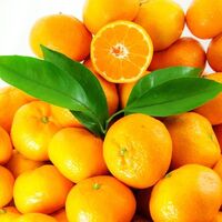 Folik asit içeren besinler