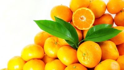 Folik asit içeren besinler