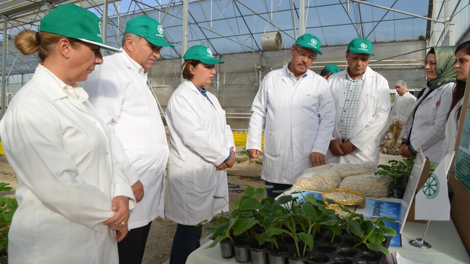 İki çeşidi tescillendi!