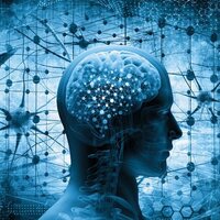 Alzheimer'dan koruyan 6 öneri!