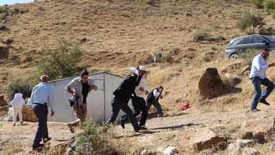 Şükür duasında arılar saldırdı!