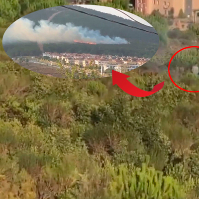 Ormanı yakarken görüntülendi!