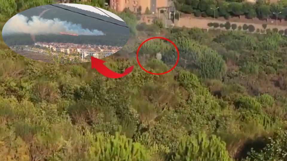 Ormanı yakarken görüntülendi!