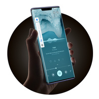 Google yok, fiyatı ise...