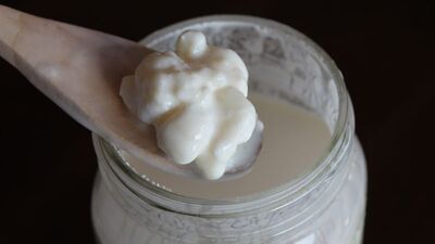 Kefirin faydaları nelerdir?