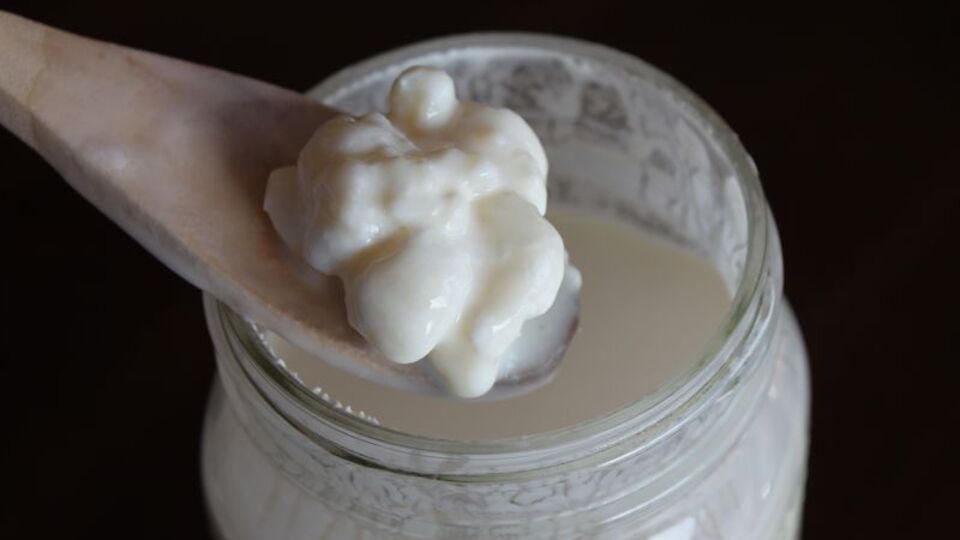 Kefirin faydaları nelerdir?