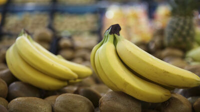 Muzun faydaları nelerdir?