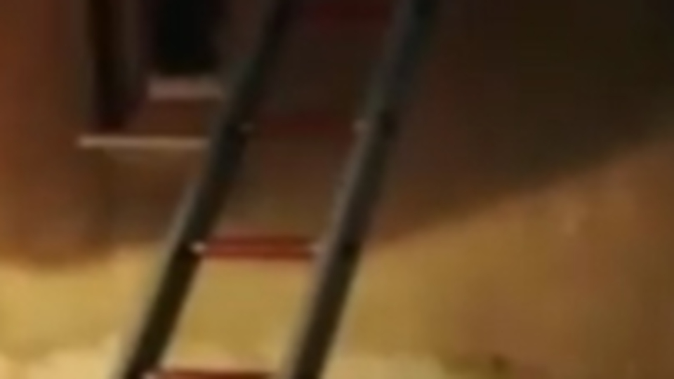 Isparta'da ahırda çıkan yangında iki hayvan öldü