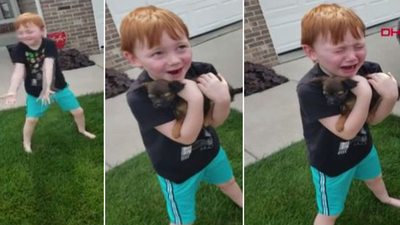 Yavru köpeğine kavuşan çocuğun sevinç gözyaşları!