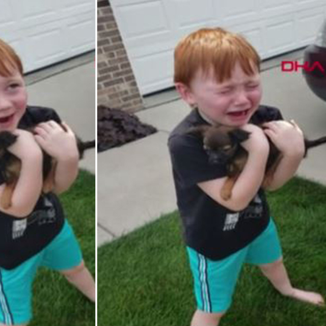 Yavru köpeğine kavuşan çocuğun sevinç gözyaşları!