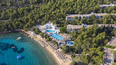 "2019 Türkiye için tarihi bir yıl olacak"