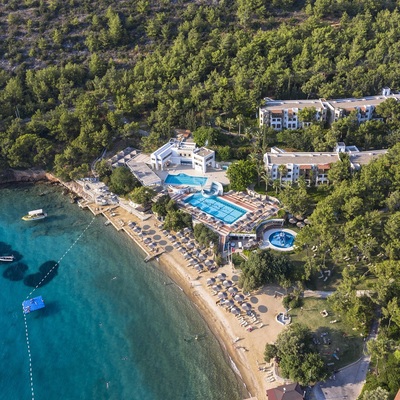 "2019 Türkiye için tarihi bir yıl olacak"