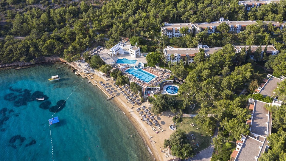 "2019 Türkiye için tarihi bir yıl olacak"