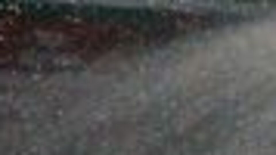 Muğla'da orman yangını