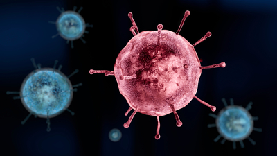 Gribe bağlı ölümü böyle önleyin!