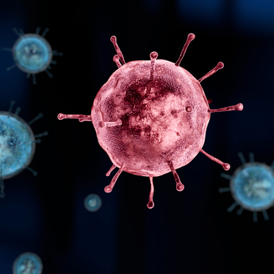 Gribe bağlı ölümü böyle önleyin!