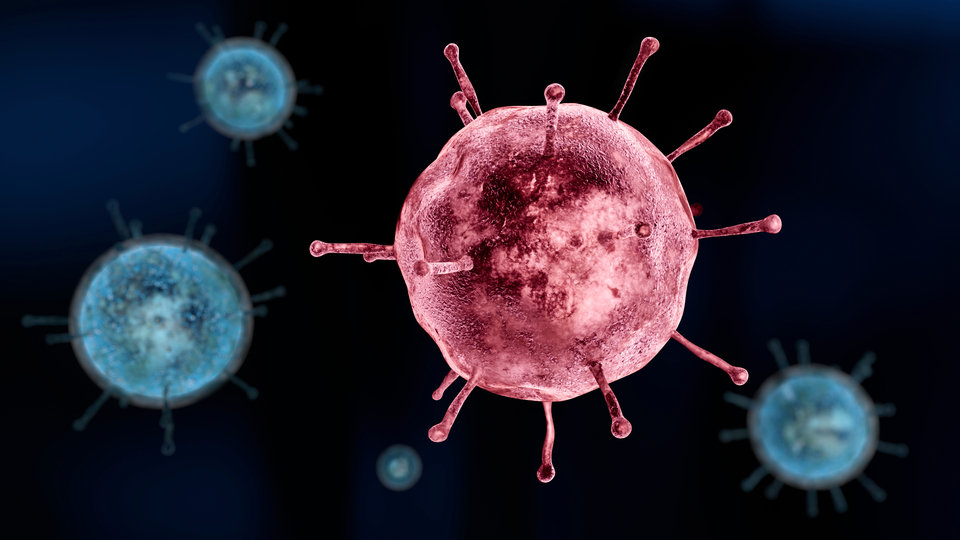 Gribe bağlı ölümü böyle önleyin!