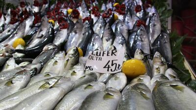 Balıkçıların gözü "prens"te!