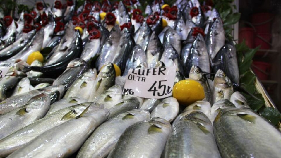 Balıkçıların gözü "prens"te!