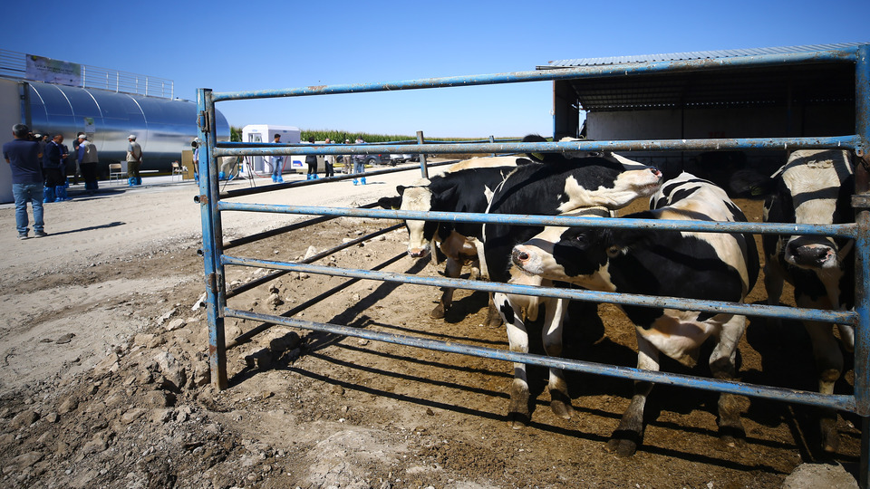 79 bin hektarlık alan ekonomiye kazandırıldı