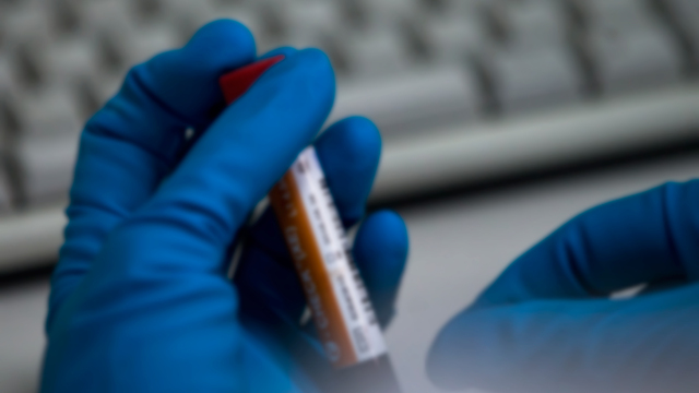 Rusya'nın doping cezası devam edecek