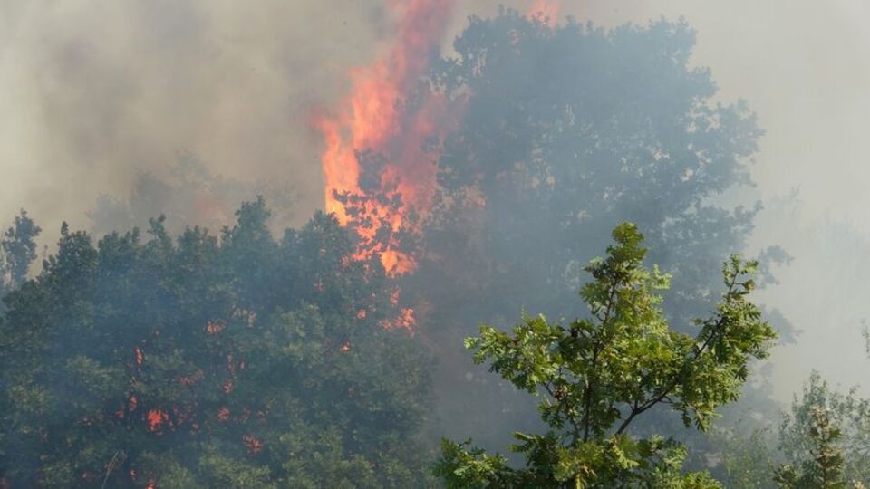 Pendik'teki yangınla ilgili flaş gelişme
